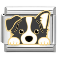 Charm Perrito Border Collie