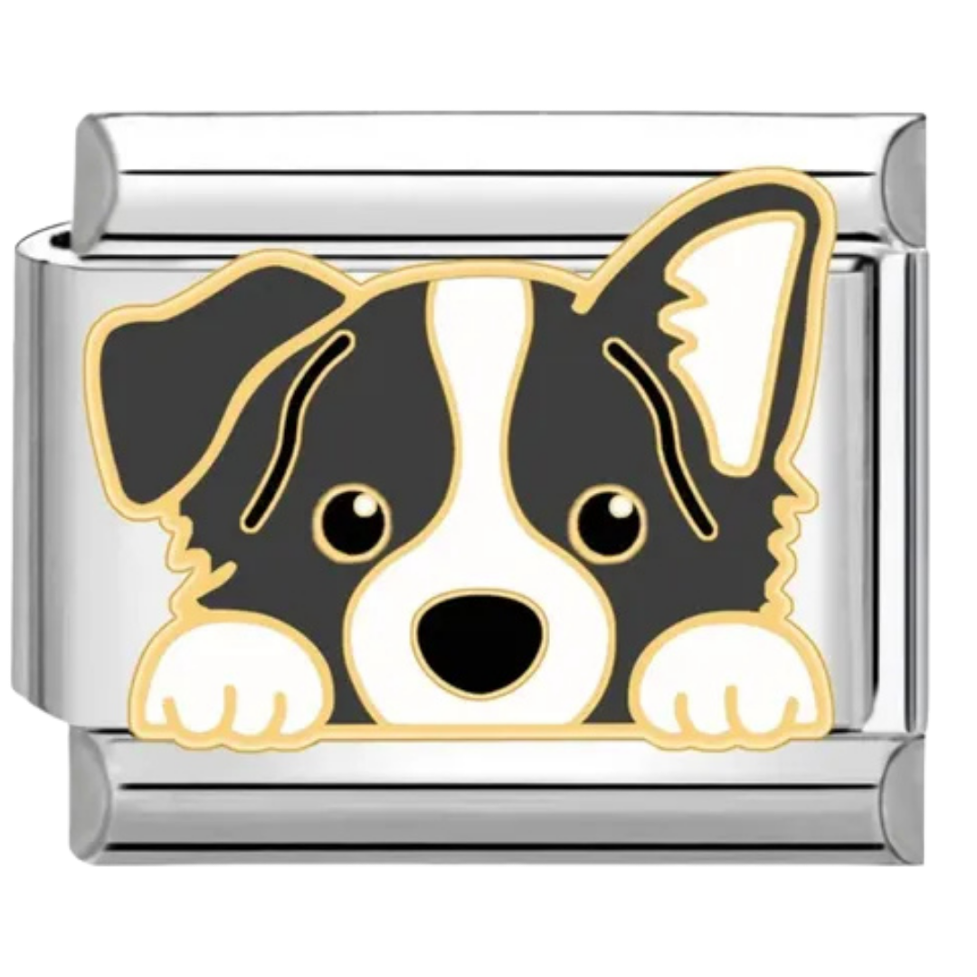 Charm Perrito Border Collie