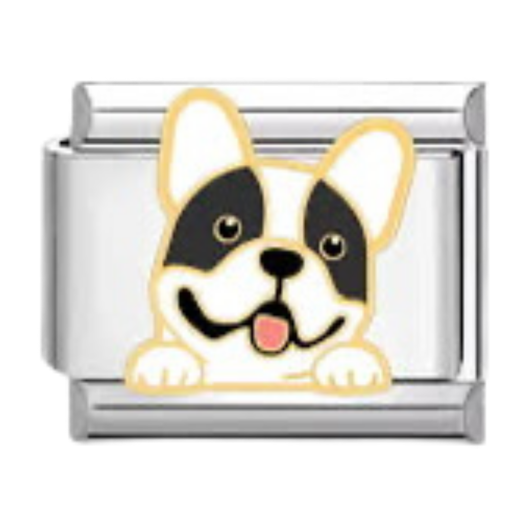 Charm Liso Perro Bulldog