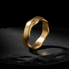 Anillo Flux